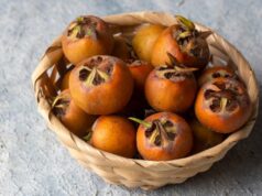 Заборавеното овошје е вистинско богатство: Ги чисти цревата, го зајакнува имунитетот, добро за дијабетичари