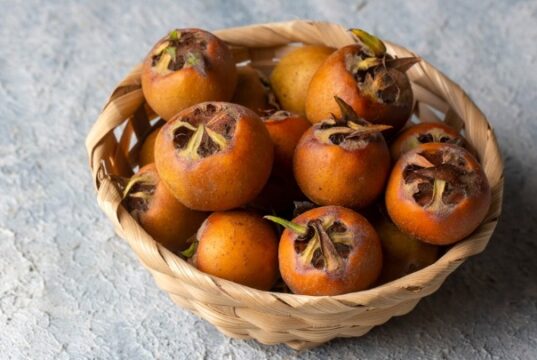 Заборавеното овошје е вистинско богатство: Ги чисти цревата, го зајакнува имунитетот, добро за дијабетичари