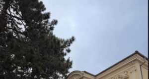 Место каде што празничната магија станува реалност – Книга Бар Пионерски Битола