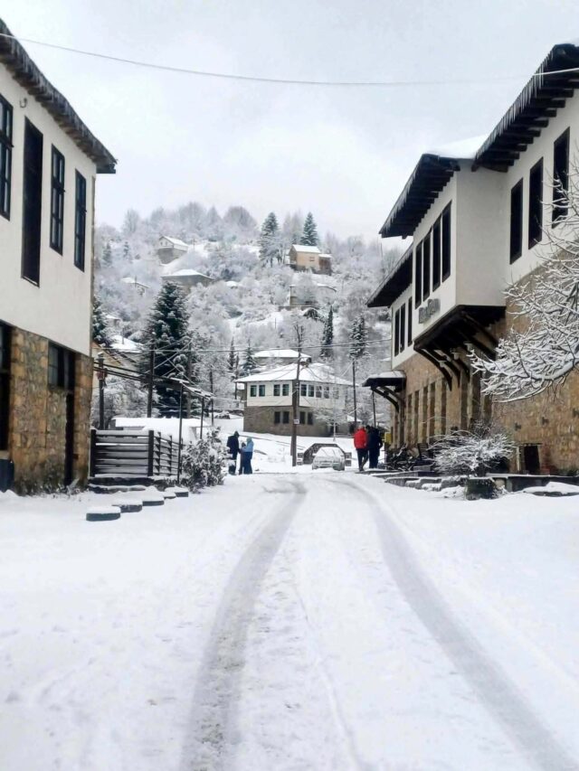 8c80d931-9600-4920-82fa-40206fd24386