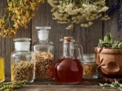 Ова растение некогаш „лекувало сè“: Беше задолжително во секое домаќинство – бабите знаеја зошто