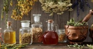 Ова растение некогаш „лекувало сè“: Беше задолжително во секое домаќинство – бабите знаеја зошто