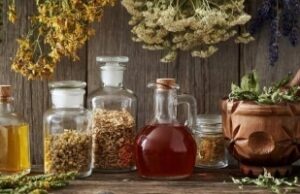 Ова растение некогаш „лекувало сè“: Беше задолжително во секое домаќинство – бабите знаеја зошто