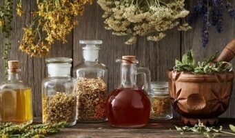 Ова растение некогаш „лекувало сè“: Беше задолжително во секое домаќинство – бабите знаеја зошто