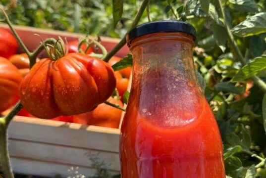 7 намирници кои ги намалуваат алергиите: Ако страдате од нив, мора да ги јадете овие