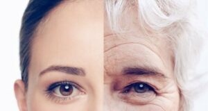 Шокантно откритие: Во овие години, телото брзо старее – два критични периоди кога сè полека откажува