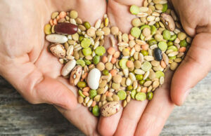 Шест најздрави семиња