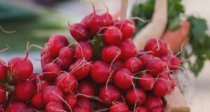 Започнува сезоната на нискокалорична храна: Го регулира крвниот притисок и е добра за црниот дроб