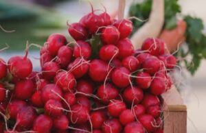 Започнува сезоната на нискокалорична храна: Го регулира крвниот притисок и е добра за црниот дроб