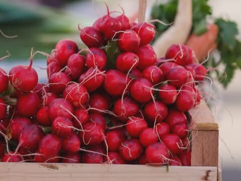 Започнува сезоната на нискокалорична храна: Го регулира крвниот притисок и е добра за црниот дроб