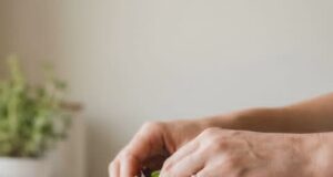 Онколозите ги замолуваат луѓето да го фрлат овој кујнски прибор од куќата