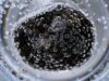 Што ако пиете само кисела вода на жешко? Еве како таа навистина влијае на телото