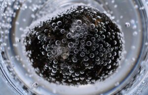 Што ако пиете само кисела вода на жешко? Еве како таа навистина влијае на телото